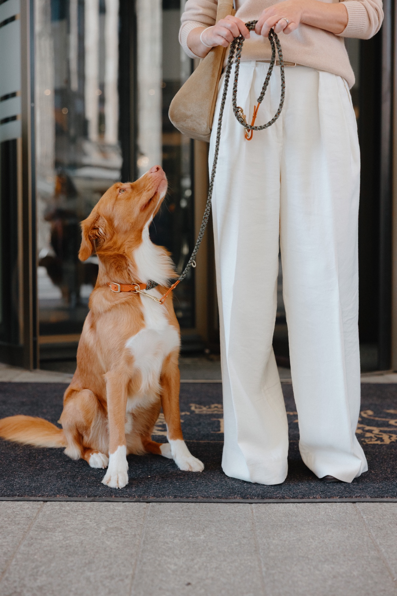 DOXS Fine Dog Accessories Kampagne von Kürsat Gürbüz